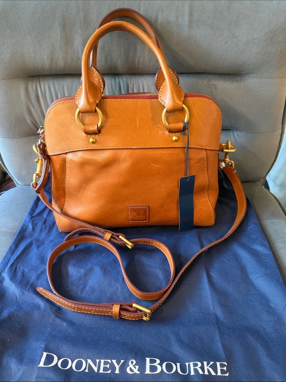 NWT Dooney & Bourke Florentine Cameron Satchel in Natural with Crossbody Strap